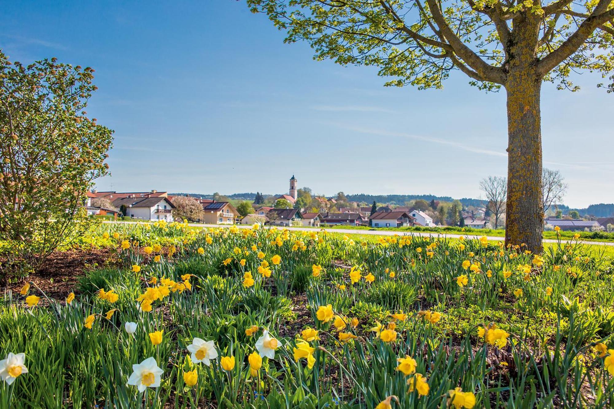 Chalet An Der Brunnader - Ihr Perfekter Rueckzugsort In Der Bayerischen Toskana Bad Birnbach Exteriér fotografie