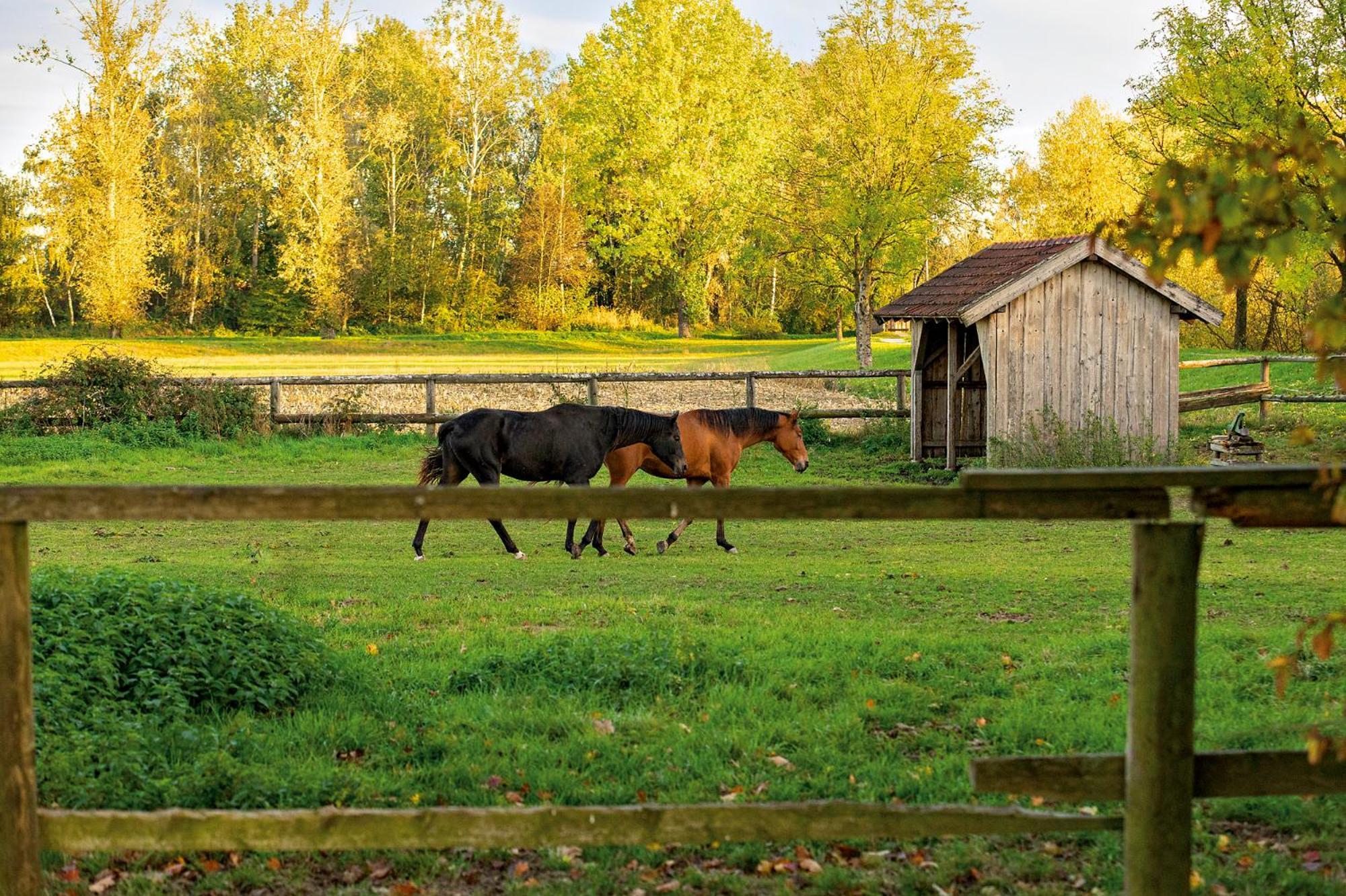 Chalet An Der Brunnader - Ihr Perfekter Rueckzugsort In Der Bayerischen Toskana Bad Birnbach Exteriér fotografie